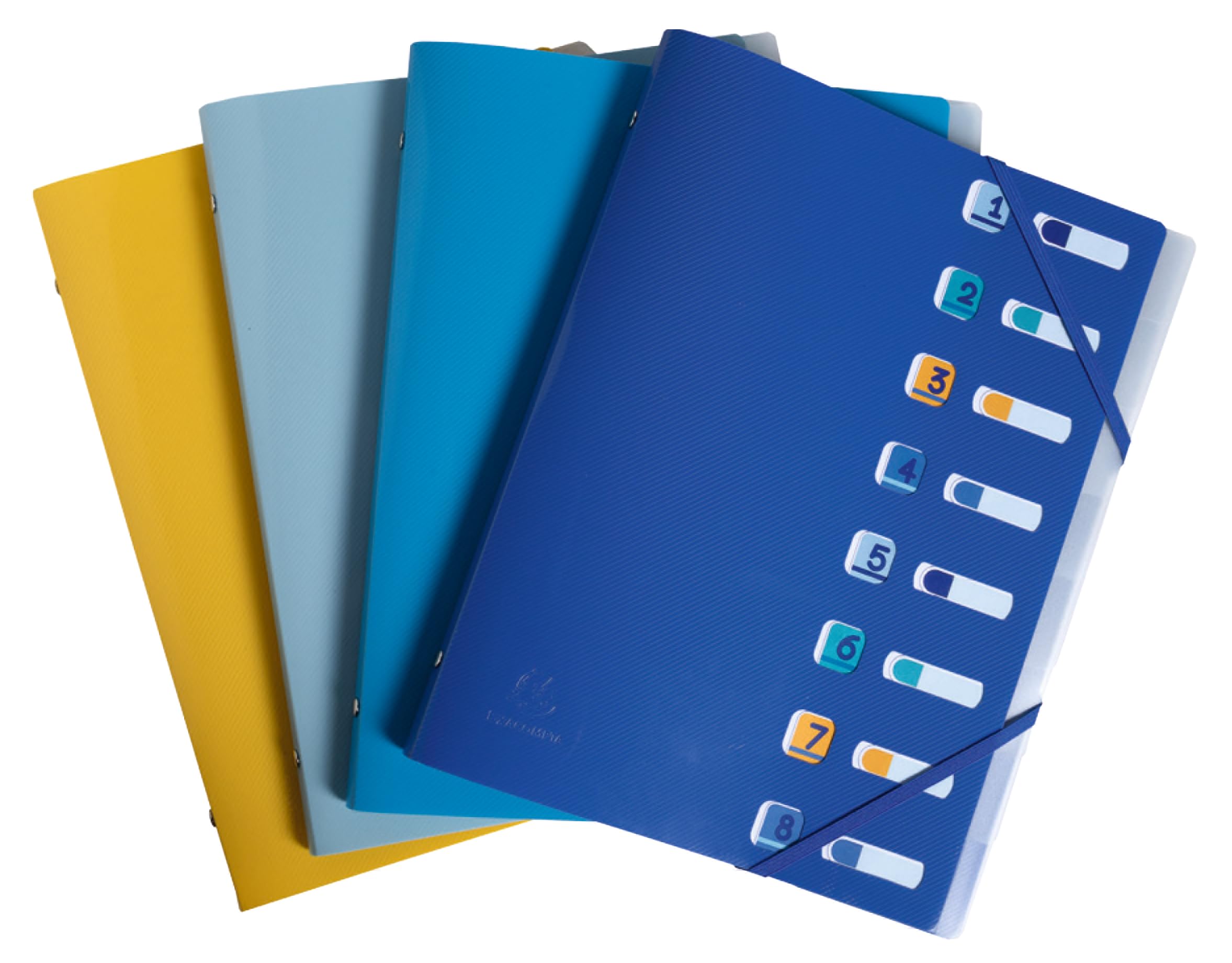Exacompta - Ref 56110E - Box of 10 File folders Bee Blue - with Elastic Bands and Cut-Out Windows - Cover and Inside Made of Recycled PP - 8 compartments - for A4 - Size 25 x 32 cm - Assorted