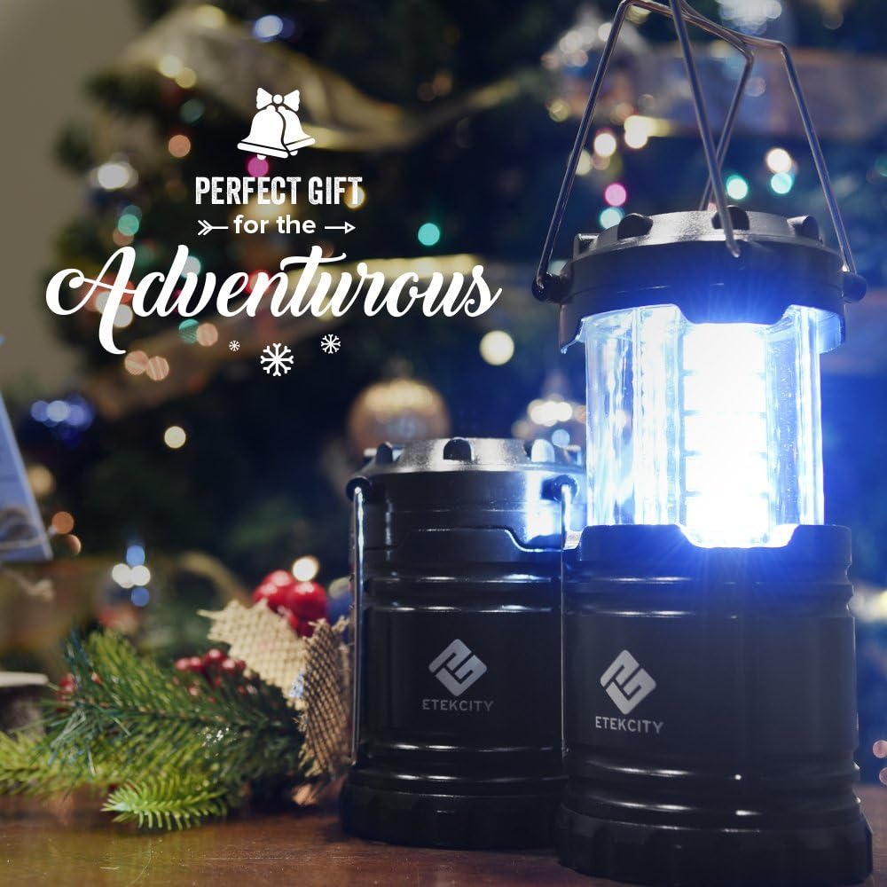 Etekcity Lantern Camping Lantern Battery Powered Lights for Power Outages, Home Emergency, Camping, Hiking, Hurricane, A Must Have Camping Accessories, Portable and Lightweight, Batteries Included: Sports & Outdoors