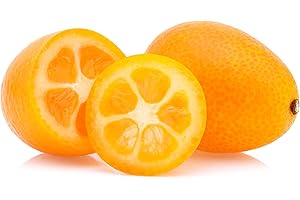 Fresh delicious Kumquat by RawJoy Farms., 1 Pound