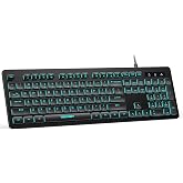 TECKNET Wired Keyboard, Silent Typing, Full-Size Layout,RGB Backlit | Spill-Resistant Design, USB-A Plug &amp; Play, Slim Membrane Keys, Office Ready, PC, Laptop &amp; Mac Compatible