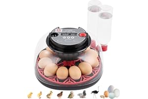 AFLYEVER 12 Egg Incubator with Auto Turn & Humidity Control, 360° View Poultry Hatcher for Chicken/Duck/Turkey/Quail Eggs - Incubator for Hatching Eggs (R-12H)
