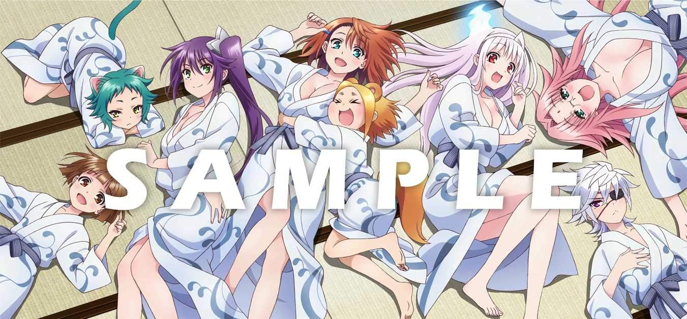 選択した画像 信楽 こゆず