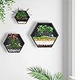 Ecosides Mixed 3 Iron Honeycomb Wall Planter Indoor, Hexagon Wall Hanging Planter, Geometric Terrarium, Wall Vase Florarium, Metal Planter for Wall Decor, Hanging Terrarium (Black)