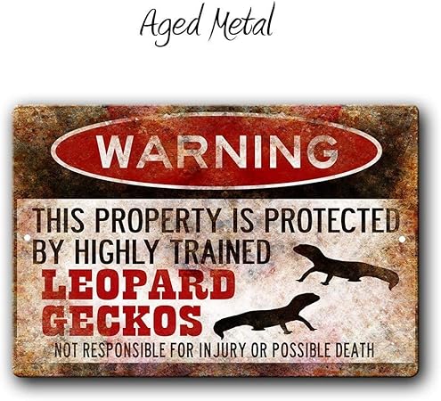 gecko accessories