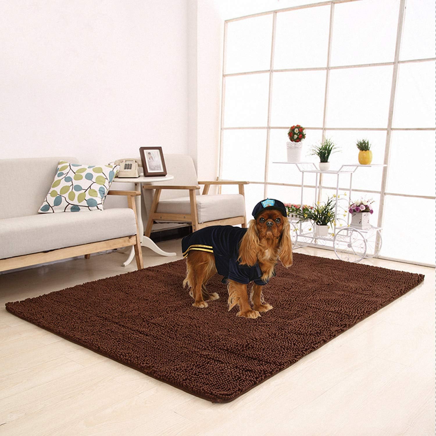 Meilocar Dog Mat Ultra Absorbent Soft Floor Mat, Pet Bed Mat/Rug for Dogs & Cats, Bathroom Non-Slip Doormat, Machine-Washable,19"x31", 23"x34",31"x59"