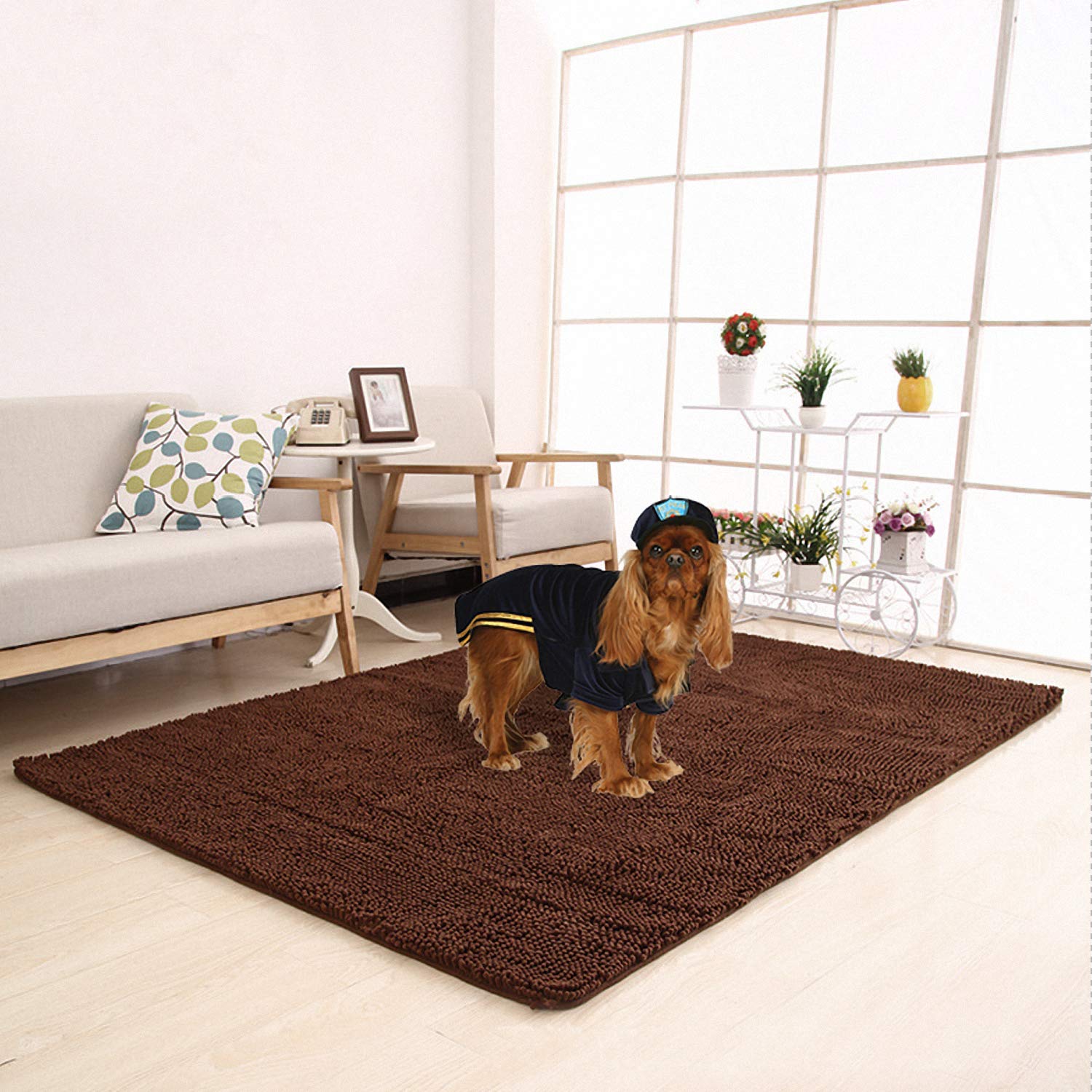 Washable floor mats for dogs Clearance