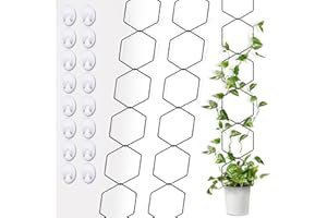 KaiCarnte Chain Trellis Climbing Plants Outdoor & Indoor-Garden Wall Trellis for Plants-DIY Trellis for Ivy, Petunias, Grapes, Windmill Jasmine and More (2 Pack)