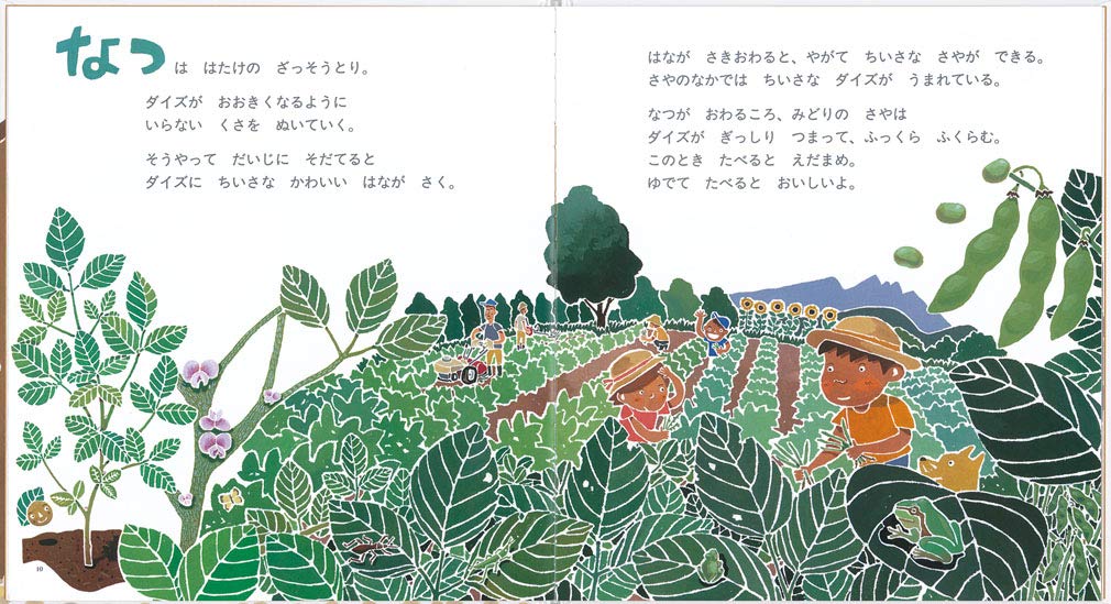 まんまるダイズみそづくり かがくのとも絵本 ミノオカ リョウスケ 本 通販 Amazon