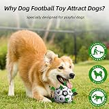 HETOO Dog Football Toy 6 Inch Interac tive Ball with Webbing Durable PU view 4