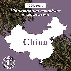 Handcraft Blends Camphor Essential Oil – Huge 4