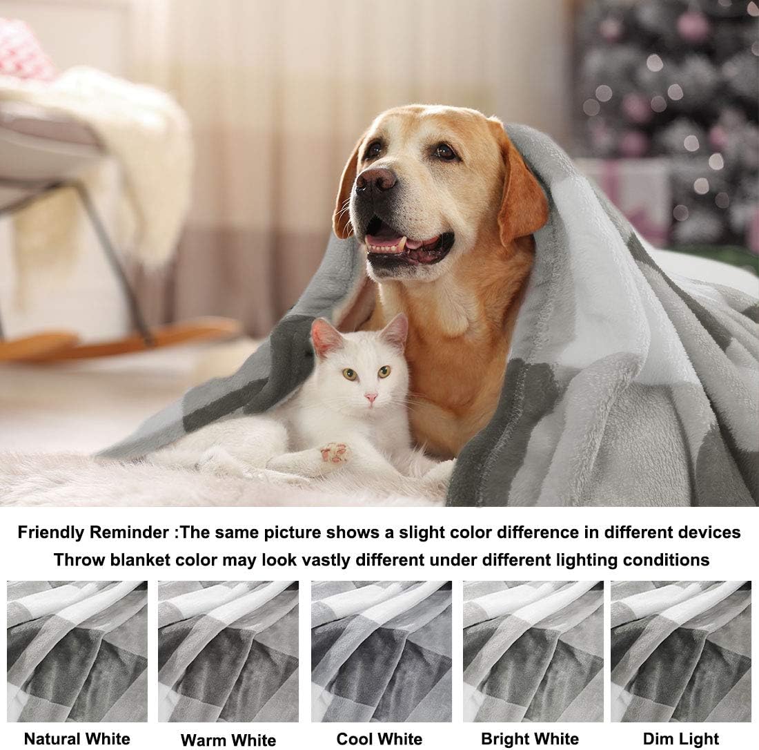 PiccoCasa Pet Dog Blanket - Image 5