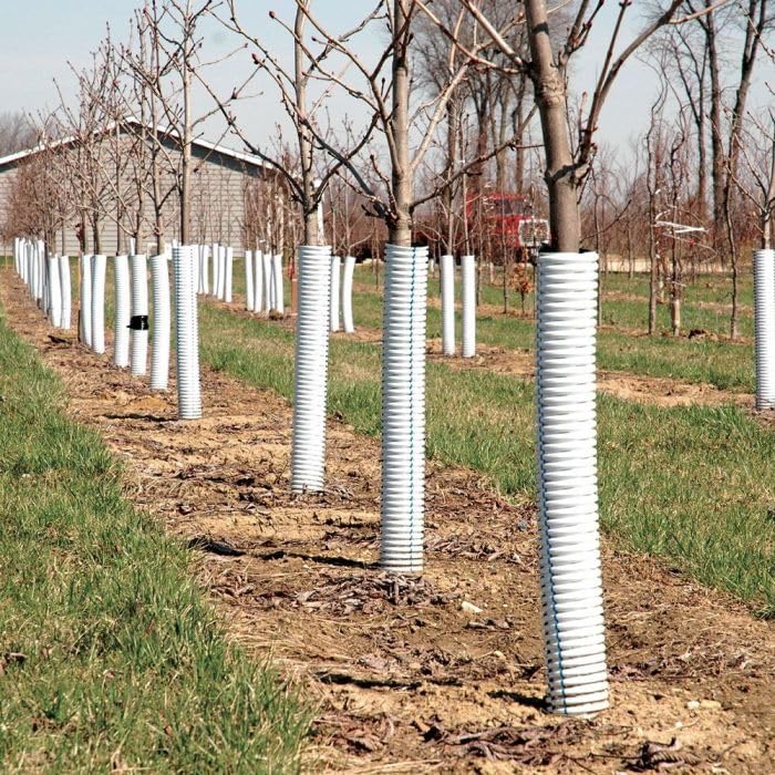A.M. Leonard Corrugated Tree Guards 4ft x 3in Diameter - Bundle of 20, Durable LDPE Sapling Protectors