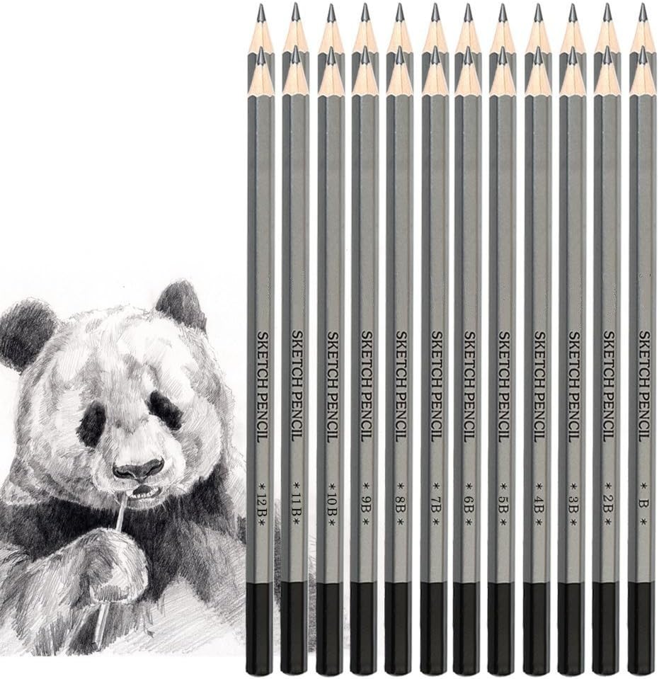 Jansroad 24 Pcs Sketching Pencils Graphite Drawing Pencils Set, Travel Set Artists Drawing Kit 9H to 14B for Adults & Kid Beginners Artist