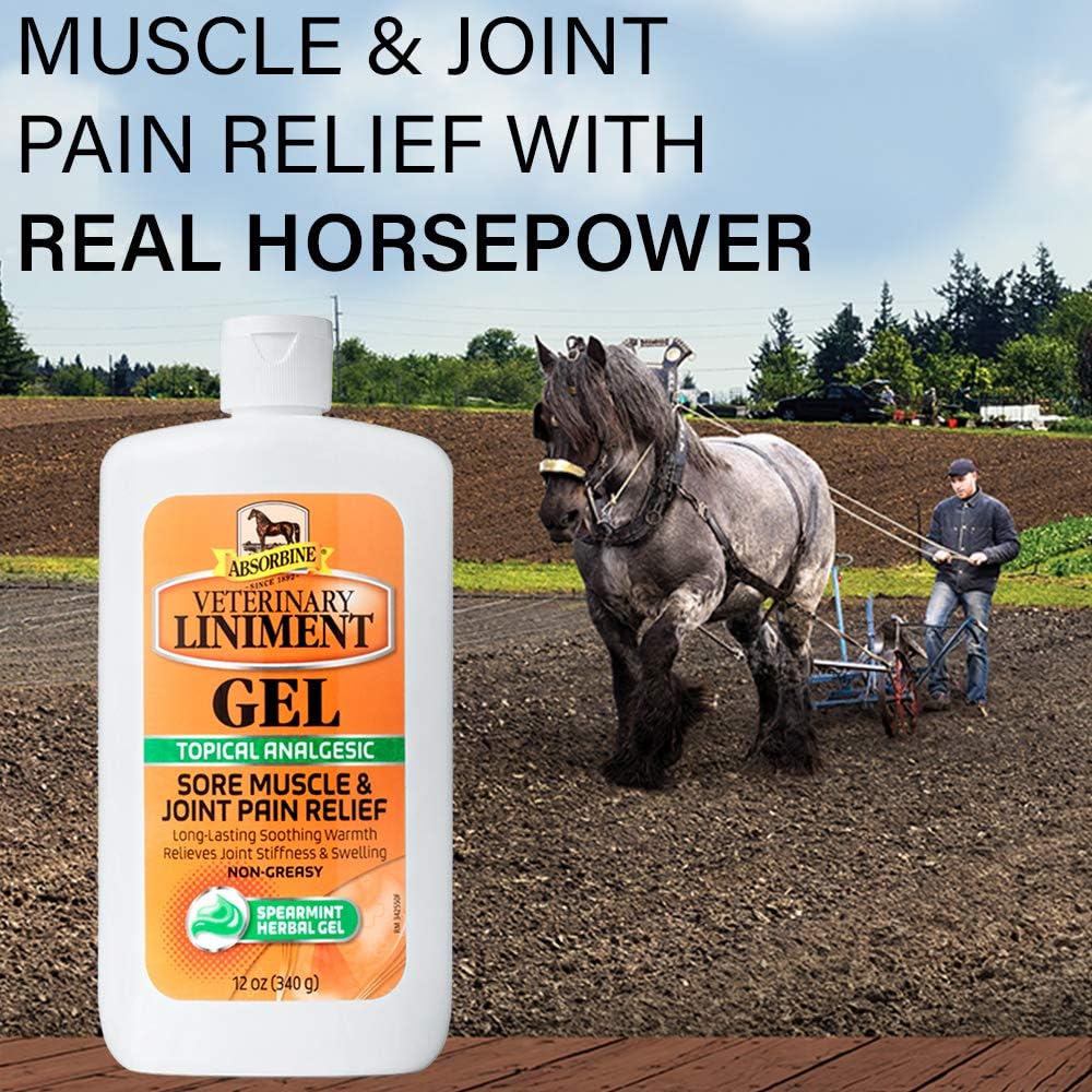Absorbine Veterinary Liniment Topical Analgesic Sore Muscle and Arthritis Pain Relief Warming Liniment Rub, 12 Ounce Gel : Horse Liniments : Pet Supplies
