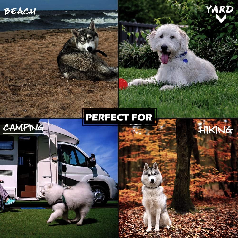 beach stake for dogs