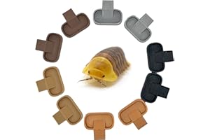 Isopod 10 Pack Feeding Dish | Isopod Food Tray | Insect Dish | Insect Feeder | CTWPets (Earth Natural Tones)