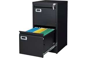 Letaya 2 Drawer File Cabinet with Lock,Metal Vertical Filing Cabinets for Home Office- Storage A4/F4/Letter/Legal -Assembly Required (Black)
