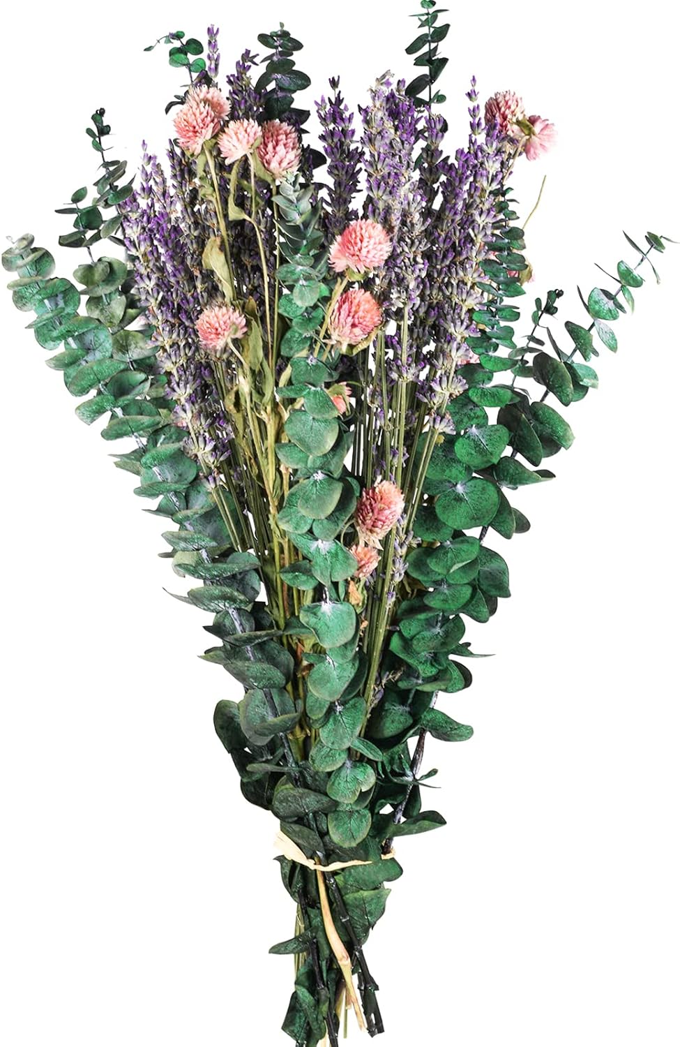 Dried & Preserved Flora - 43 Pcs Dried Eucalyptus Stems & Lavender Flowers Bundle for Shower Natural Fresh Eucalyptus Leaves Hanging Eucalyptus Shower Plants for Home and Wedding Decorations