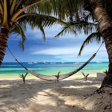 Calendar 2019 Iles Plages De Reve Maldives Meeting