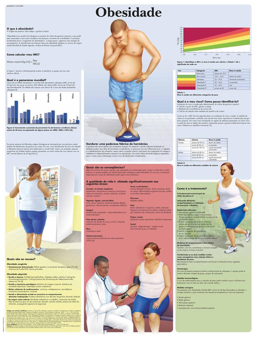 3B Scientific vr3460uu Printed in Paper, Obesity, adiposidad