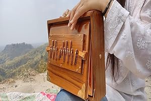 Amilav Collections 12"" Shruti Box with 13 note Tuned 432 Hertz Padded Carry Bag Made by Teak wood, BK455555555555