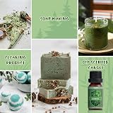 Salubrito Nature Essential Oils Set Forest Pine Ocean Breeze Rain 6x Oils view 7