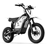 Electric Motorcycle For Teens &amp; Adults,Electric Dirt Bike, 3500W Mid-Mounted Motor 39MPH Top Speed,14"/12" Tire, 48V 23AH,Hydraulic Brakes,Off Road Electric Mountain Bike | Fit Age 14+ (2000W)