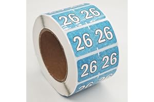 HODMOPLI 500 Pieces 2026 Year Stickers 0.75×1.5 inch Rectangle Coded Colored File Folders Labels Self Adhesive Year Labels for Tab File Folders Office Supplies(Blue,White)