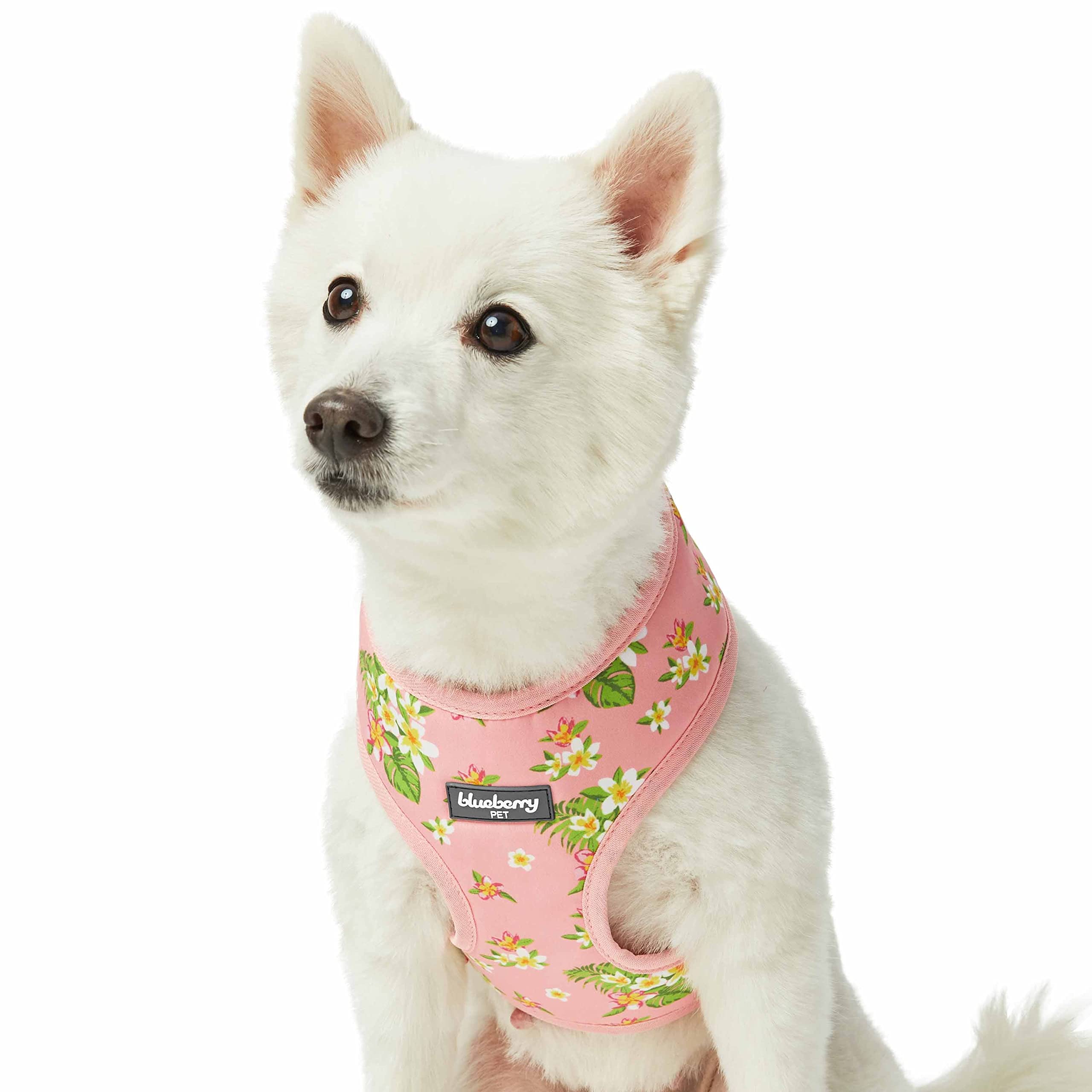 Blueberry Pet Summer Sparkle Dog Harness Vest, Adjustable X-Small Size, Chest Girth 33cm-41cm, Tropical Flower Baby Pink, Hibiscus Floral Print Pet Harness