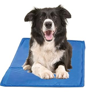 cooling mat for dogs bed bath and beyond