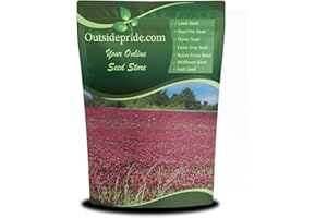 Outsidepride Crimson Clover Seeds - 5 lbs. Annual, Nitrocoated, & Inoculated Ground Cover Seeds, Ideal Clover Seed for Lawn, Cover Crop, Pasture, Hay, Green Manure & Wildlife Forage