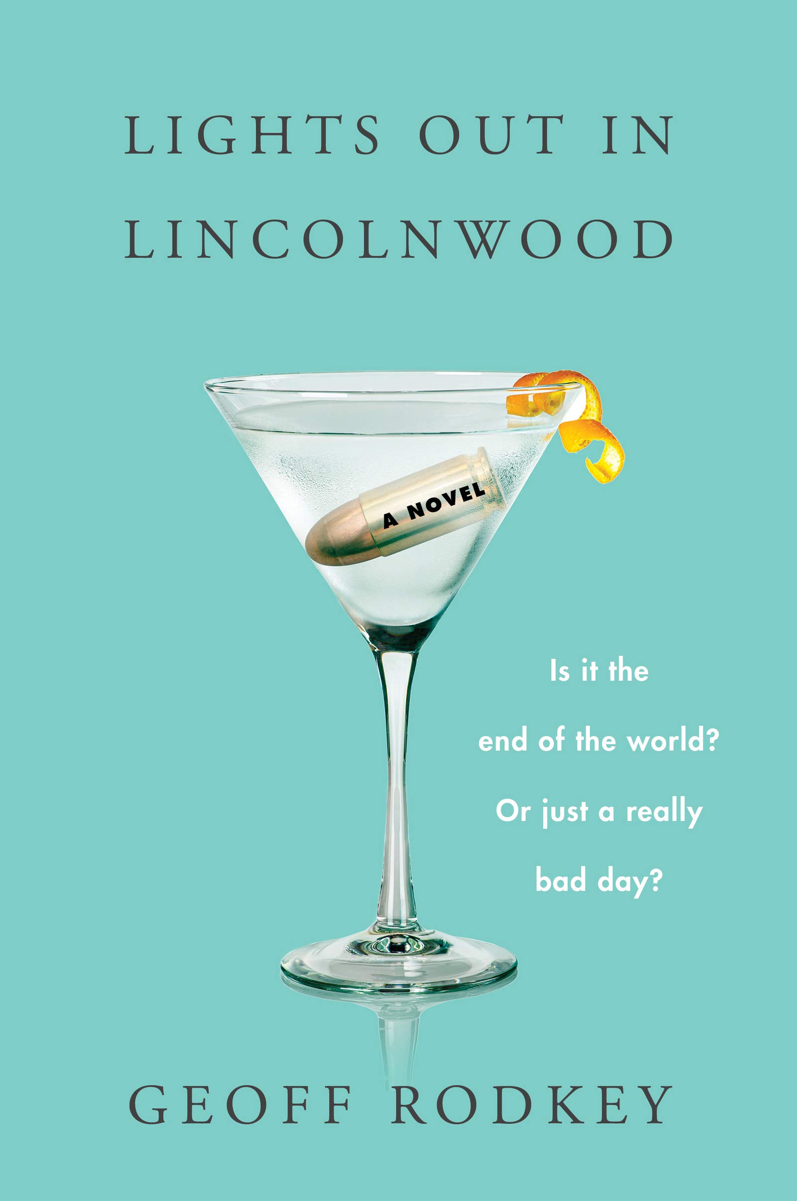 Cover of Lights Out in Lincolnwood