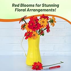 Outsidepride Red Torch Mexican Sunflower Seeds