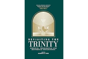 Revisiting the Trinity: Biblical, Theological and Historical Reflections (BRI Studies on the Trinity Book 1)