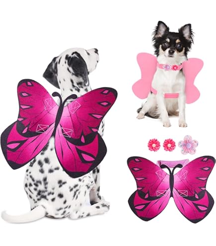 Perro - Arnés Táctico Para Perro - Arnés Trail FLOWER POWER