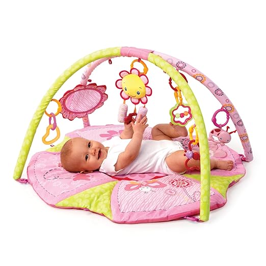 bright starts pretty in pink activity gym