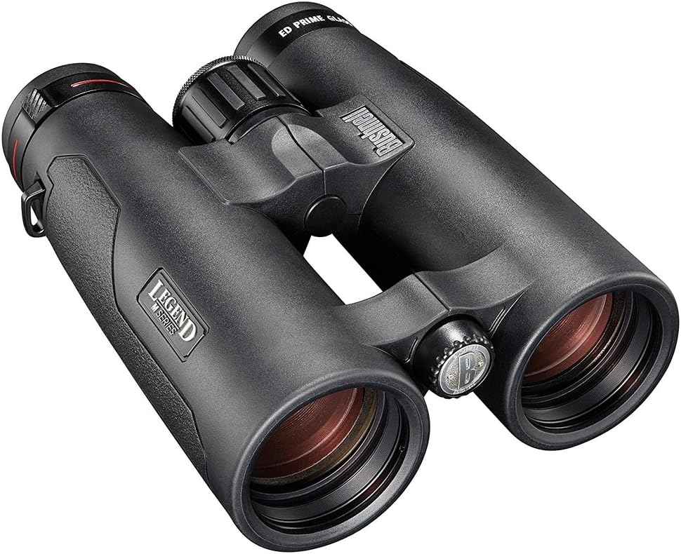 Best Binoculars for Whale Watching Reviews