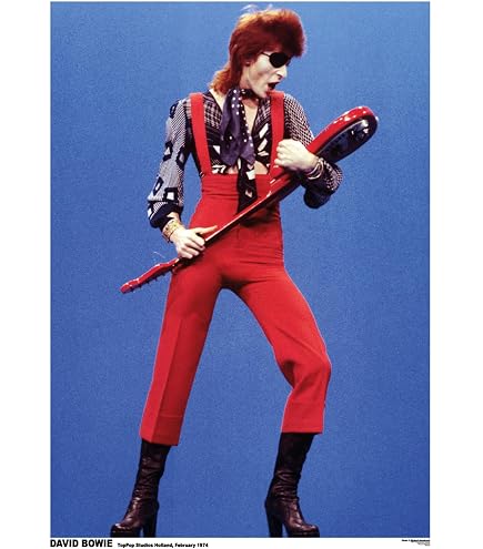Amazon.com: David Bowie-Heroes Poster Rolled 24 x 36 PSA034149