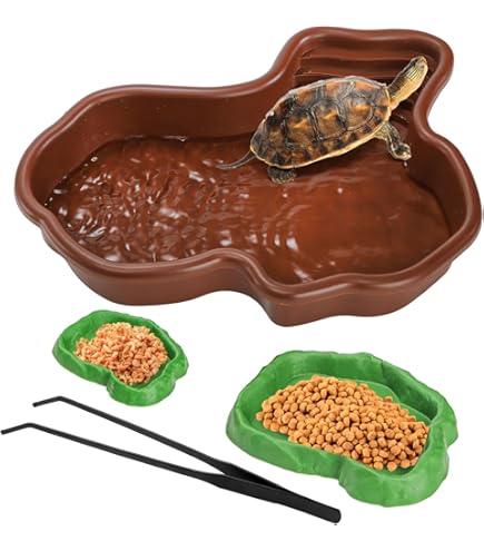 Snake Water Bowl TORTOISE DISH WATER Bowl Reptiles Feeding Dish
