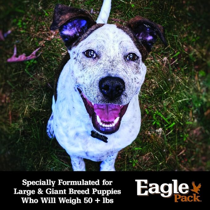 eagle puppy food