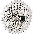 XG-1290 RED 12 Speed Cassette