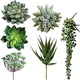 Winlyn 6 Pcs Unpotted Fake Succulents Assorted Faux Succulent in Different Green Artificial Hanging Succulents Textured…