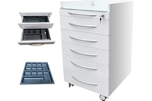 TECHTONGDA 5 Drawer Dental Mobile Cabinet, Dental Assistant's Storage Cabinet, Medical Mobile Trolley Cart Stainless Steel Utility Storage Cart with Lock and 2 Partition Tarys