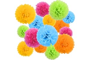 Livder Paper Flowers Bright Colorful Tissue Paper Pom Poms for Party Birthday Wedding Christmas Festive Decorations, 15 Pieces of 10, 12, 14 Inch