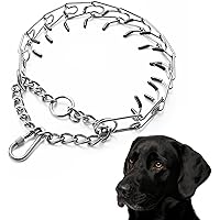 securiplex dog equipment