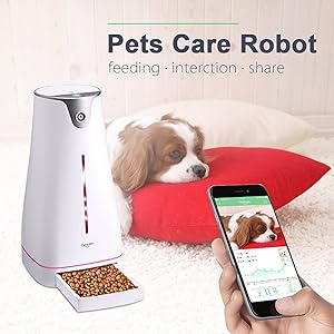 best cat feeder with camera