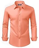 Alimens & Gentle Men's Dress Shirt Regular Fit