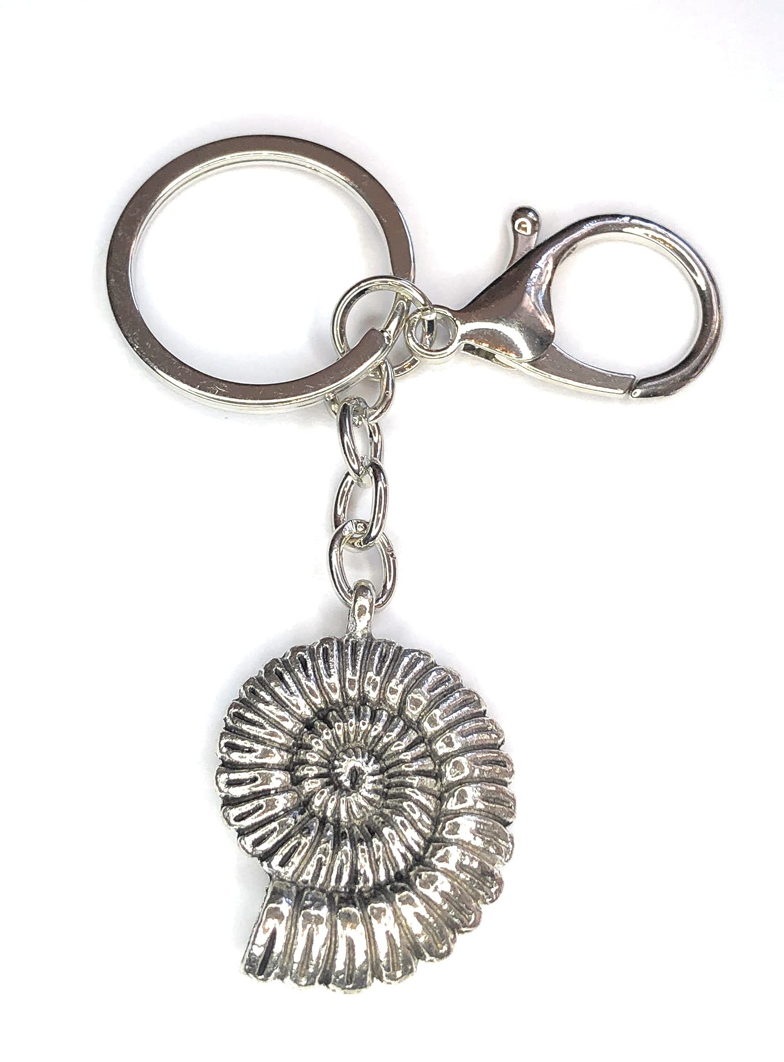 FizzyButton Gifts Ammonite Fossil Shell Keyring Key Ring and Lobster Clasp with Silver Tone Charm