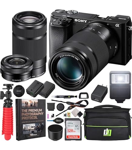 Amazon.com : Sony a6400 Mirrorless Camera with 18-135mm Lens with