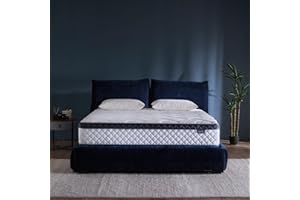 TREALIWAKER Queen Size Mattress,10 Inch Hybrid Mattress Individual Pocket Spring Multilayer Hybrid In A Box,Ergonomic,Medium Firm Support Motion Isolation,Sleep And Pain Relief Certipur-US (10 Inch, Queen)